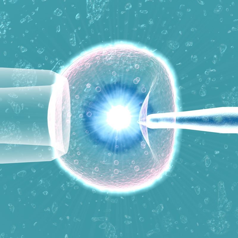 laser assisted hatching under microscope